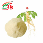 Stem Ginseng Leaf Extract 30% Ginsenosides Supplement For Drink Ingredients