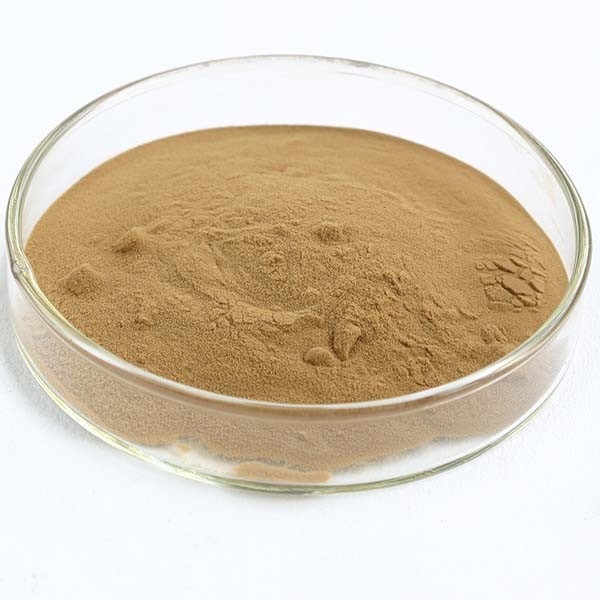 Coriolus Versicolor Extrakt 10% bis 50% Polysachriden PSK PSP Truthahn Schwanz Pilzextrakt