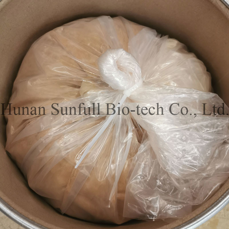 Ginkgo Biloba-Blatt-Extrakt 24/6 CAS 90045-36-6 Cp USP561 Ep EC396