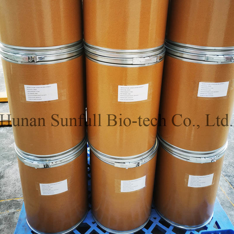 Ginkgo Biloba-Blatt-Extrakt 24/6 CAS 90045-36-6 Cp USP561 Ep EC396