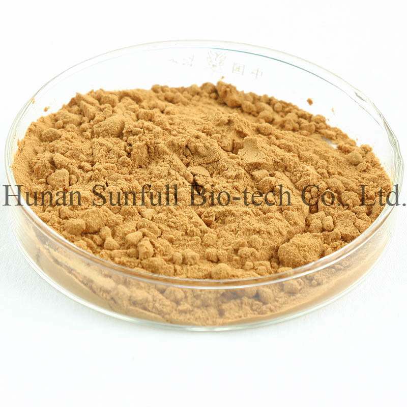 Ginkgo Biloba-Blatt-Extrakt 24/6 CAS 90045-36-6 Cp USP561 Ep EC396