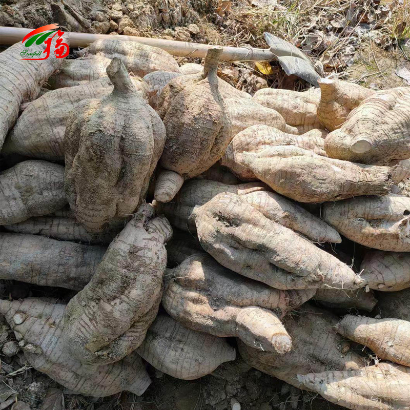 China Fabrik Natur Kudzu Wurzel Extrakt Puerarin mit 25% 60% 98% für die Option
