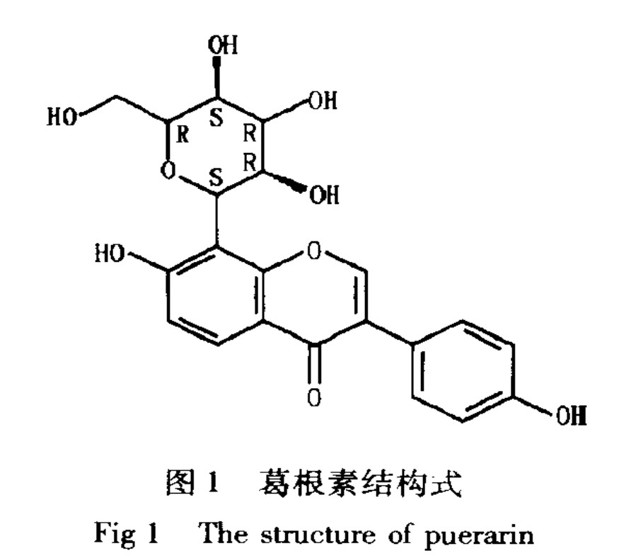 China Fabrik Natur Kudzu Wurzel Extrakt Puerarin mit 25% 60% 98% für die Option