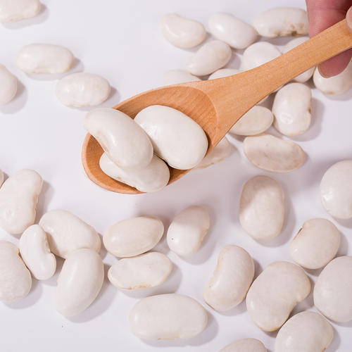 Premium Weißer Kidneybohnen-Extrakt (Phaseolus Vulgaris) - Hochreiner α-Amylase-Inhibitor für Gewichts- und Blutzuckermanagement