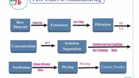 Cordyceps Sinensis Extraktpulver 10% Polysaccharide als Expectorant in feinem braungelben Pulver für Lebensmittelanwendungen