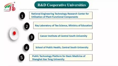 Großhandel Armillaria Mellea Extrakt Pulver mit 20 t/Jahr Produktionskapazität, feines braun-gelbes Pulver und gute Wasserlöslichkeit