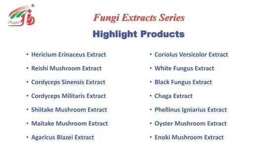 Chaga Mushroom Extract Powder 25kg/Drum 100mt/Year Production Capacity for Health Care Products