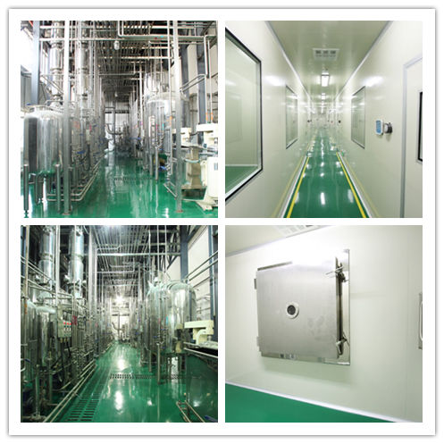 Cordyceps-Pilzpulver 80 Mesh zur Immununterstützung 25kg Fass