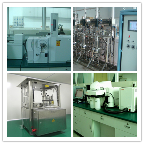 Großhandel Armillaria Mellea Extrakt Pulver mit 20 t/Jahr Produktionskapazität, feines braun-gelbes Pulver und gute Wasserlöslichkeit