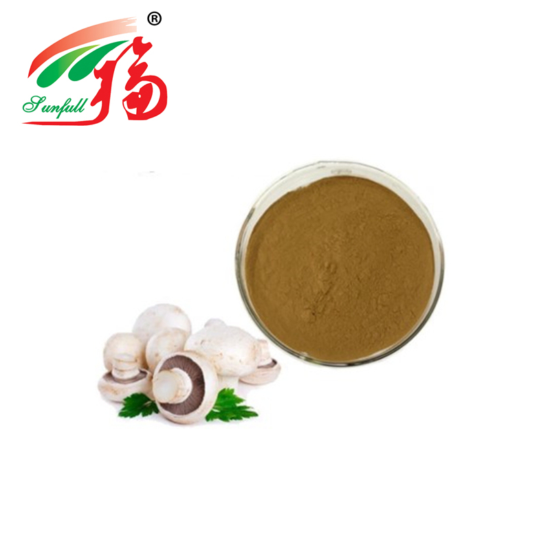 Agaricus Bisporus Extract Powder with 50% Polysaccharides Fine Brown Yellow Powder for Health Care Products and Medicine