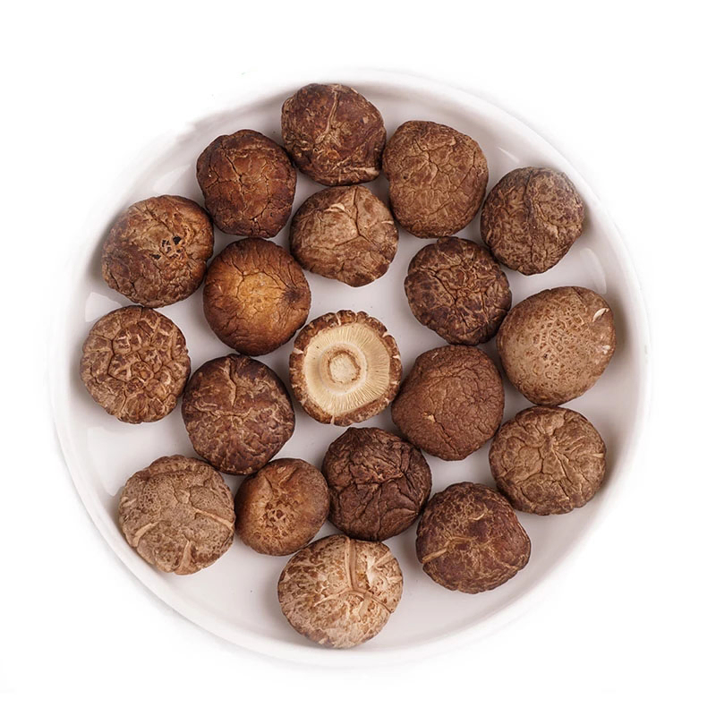 Shiitake Mushroom Extract Powder with 50% Polysaccharides for Functional Food and Health Care Products