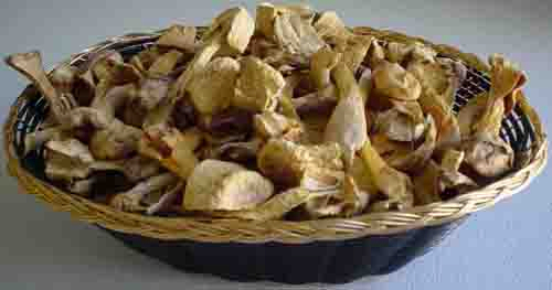 Agaricus Blazei Extrakt Pulver mit 20% Polysacchariden für funktionelle Lebensmittel und Gesundheitsprodukte in feinem braun-gelbem Pulver für Tabletten- und Kapselanwendungen