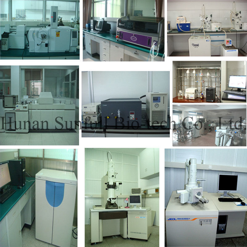 Berberinhydrochlorid 97% 98% Gelb kristallines Pulver mit antibakteriellen und entzündungshemmenden Eigenschaften aus Phellodendron chinense Extrakt