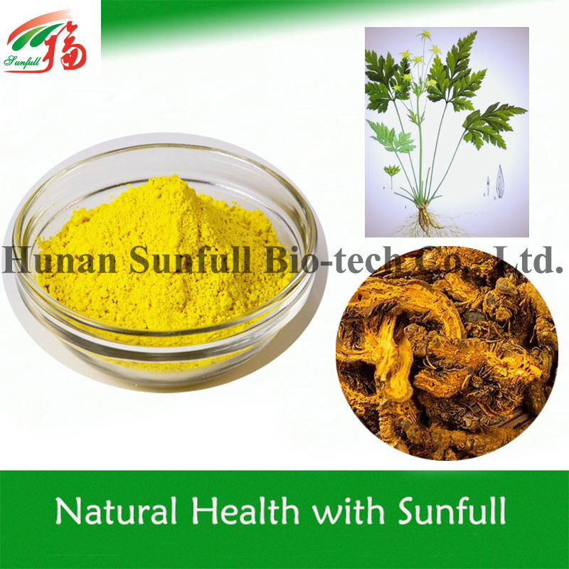 100% natürliches Berberinhydrochlorid 97% 98% aus Coptis chinensis Wurzeln mit CAS-Nr. 633-65-8