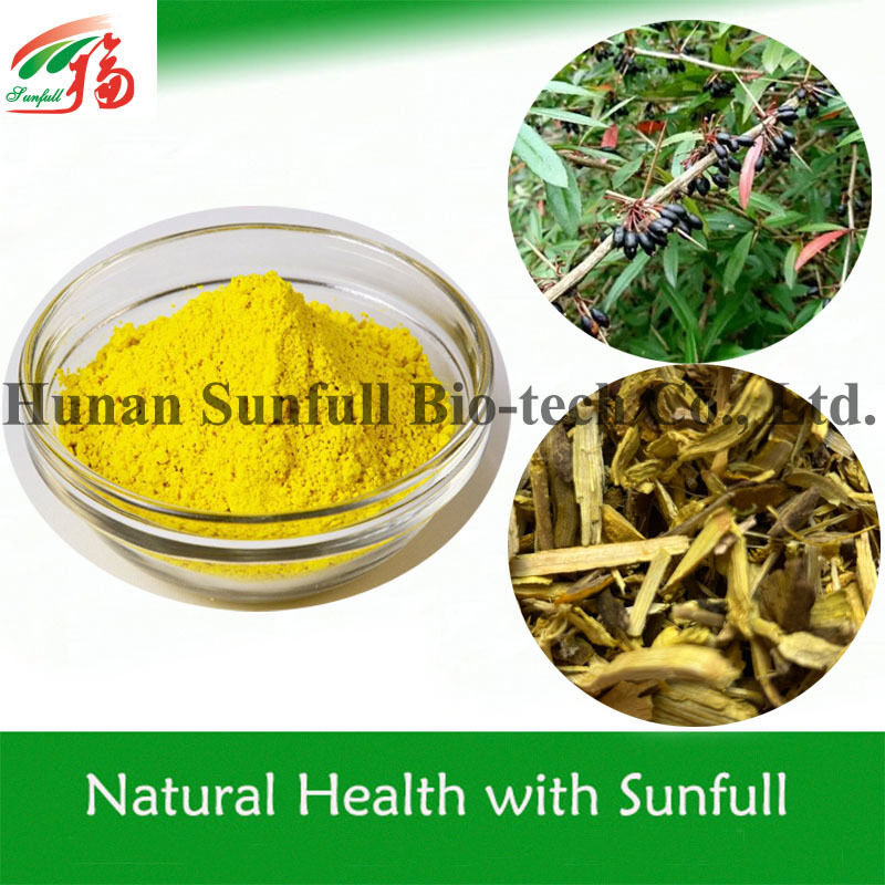 Antibakterielles Extrakt Berberinhydrochlorid Gelb kristallines Pulver aus der Art Berberis (Barberry) mit CAS-Nr. 633-65-8