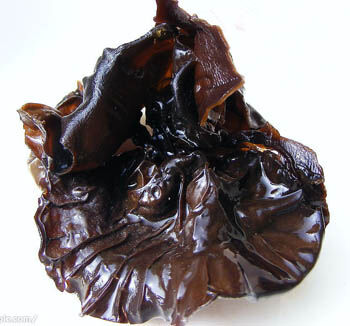 Schwarzer Pilz Extrakt 50% Polysaccharide Lebensmittelqualität Pulver für funktionelle Lebensmittel zur Stärkung der Immunität