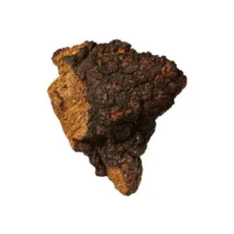 Chaga Extrakt 20% Polysaccharide für funktionelle Lebensmittel zur Stärkung der Immunität als Pilzextraktpulver