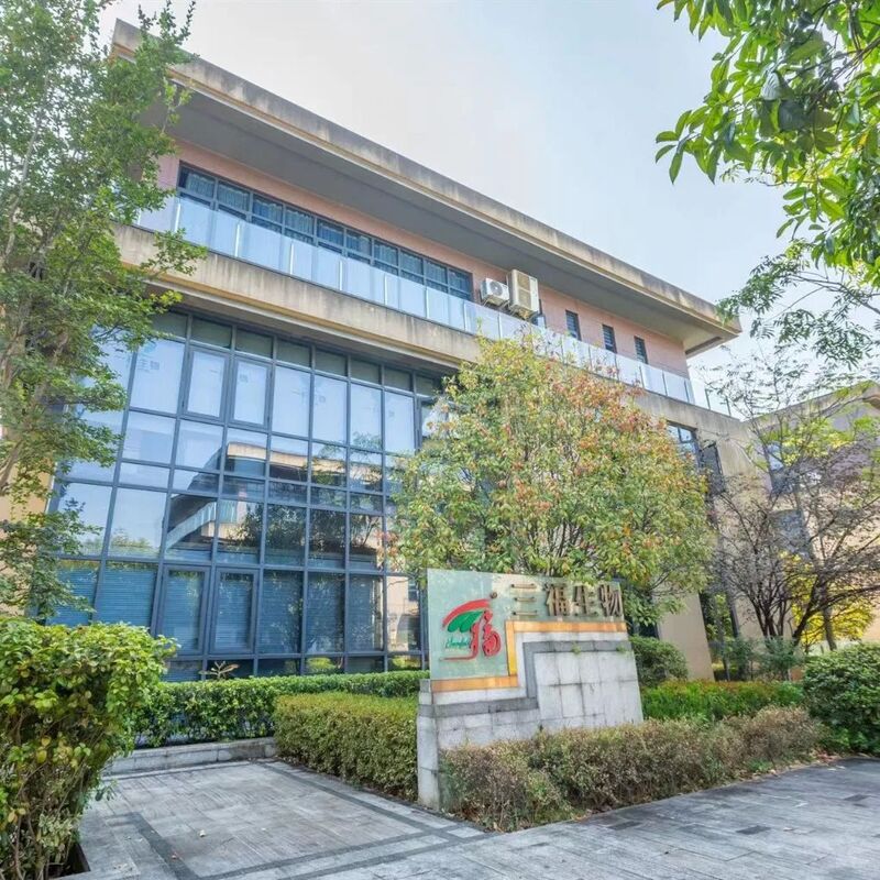 Austernpilz-Extraktpulver mit 10% Polysacchariden für funktionelle Lebensmittel als feines braunes gelbes Pulver