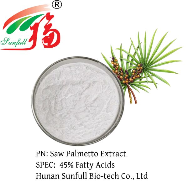 Hohe Wirksamkeit Saw Palmetto Extrakt 45% Fettsäuren (Serenoa Repens) -Premium-Konzentrat für die Gesundheit der Prostata und fortschrittliche Formulierungen