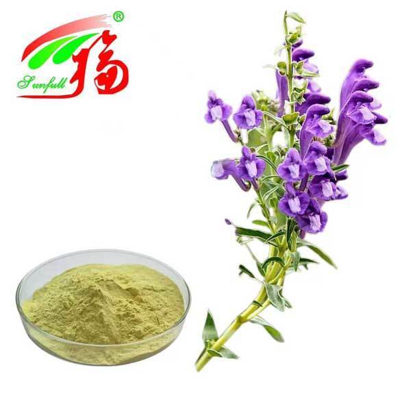 Gesundheitsinhaltsstoffe 10%~95% Baicalin Baicalein Pulver Scutellaria baicalensis Georgi Extrakt Radix Scutellariae Extrakt Baikal-Schädelkappen-Extrakt