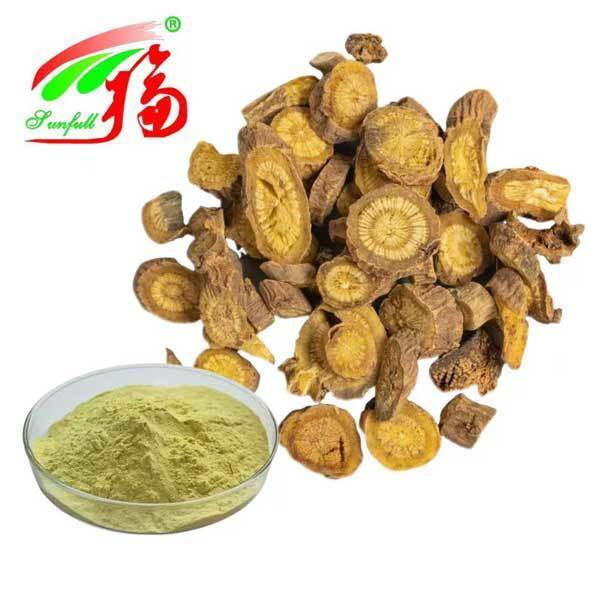 Gesundheitsinhaltsstoffe 10%~95% Baicalin Baicalein Pulver Scutellaria baicalensis Georgi Extrakt Radix Scutellariae Extrakt Baikal-Schädelkappen-Extrakt