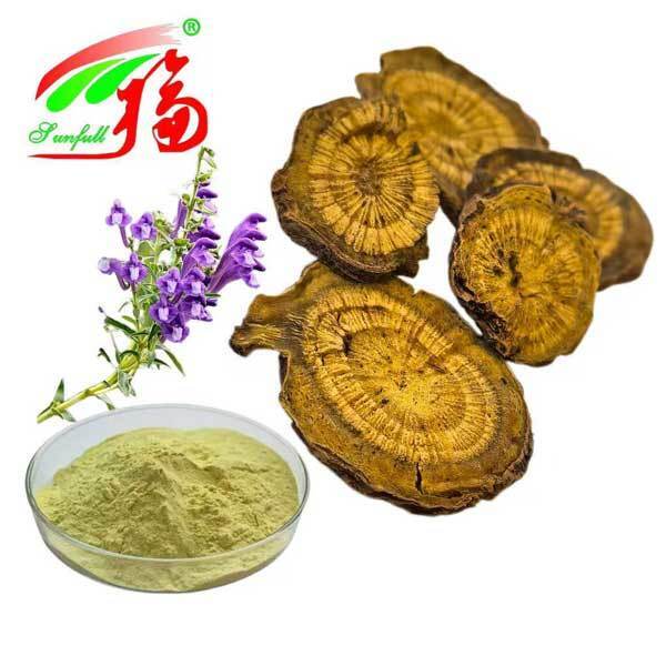 Gesundheitsinhaltsstoffe 10%~95% Baicalin Baicalein Pulver Scutellaria baicalensis Georgi Extrakt Radix Scutellariae Extrakt Baikal-Schädelkappen-Extrakt