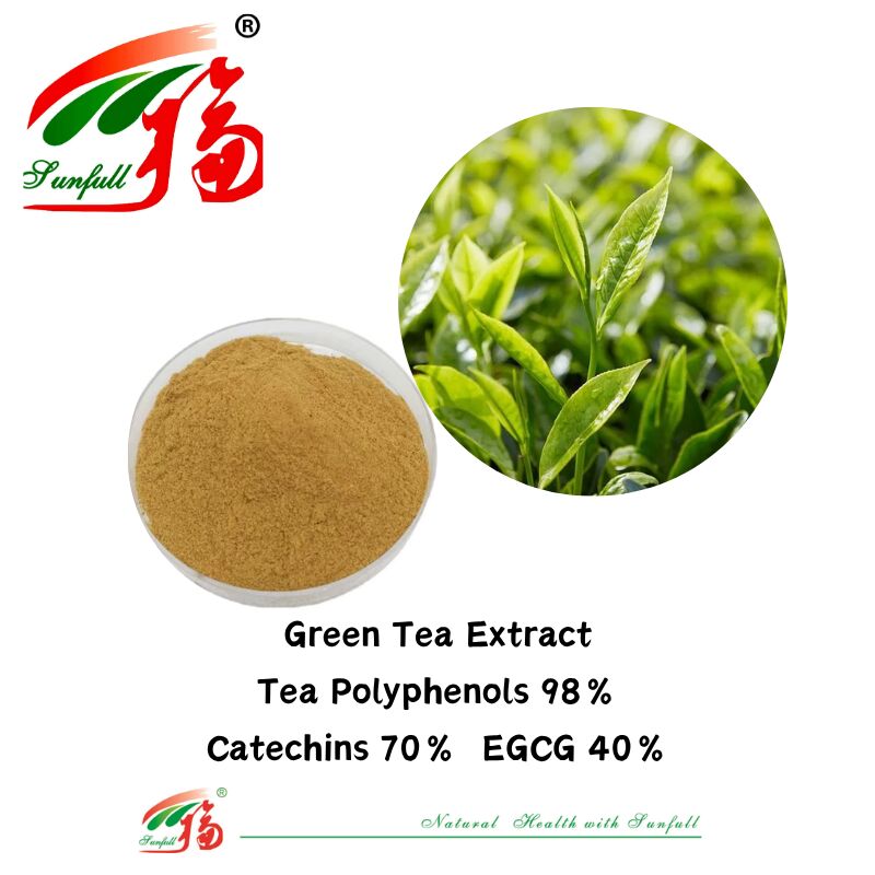 Hunan Sunfull Bio-Kräuterzutaten: Theaflavine 10–40 % EGCG, 40 % Catechine, 70 % Tee-Polyphenole, 98 % Grüntee-Extrakt