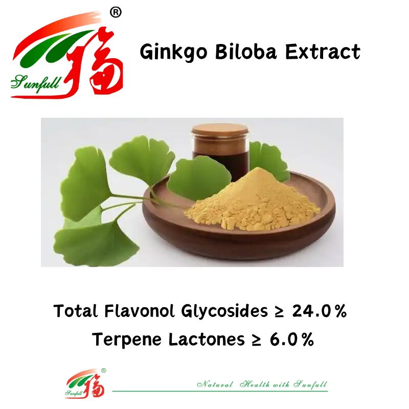 100% natürliche Wasserlöslichkeit 24% Ginkgolide Ginkgo Biloba-Blatt-Extraktpulver für Nahrungsergänzungsmittel