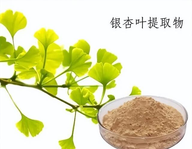 100% natürliche Wasserlöslichkeit 24% Ginkgolide Ginkgo Biloba-Blatt-Extraktpulver für Nahrungsergänzungsmittel