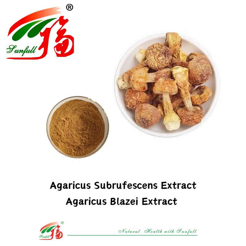Hunan Sunfull Nahrungsergänzungsmittel Agaricus Subrufescens/Hericium Erinaceus/Antrodia/Cordyceps Sinensis/Coriolus Versicolor/Pulver aus Pilzextrakt