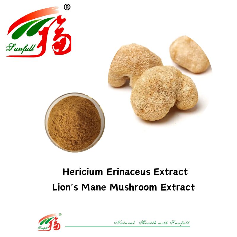 Hunan Sunfull Nahrungsergänzungsmittel Agaricus Subrufescens/Hericium Erinaceus/Antrodia/Cordyceps Sinensis/Coriolus Versicolor/Pulver aus Pilzextrakt