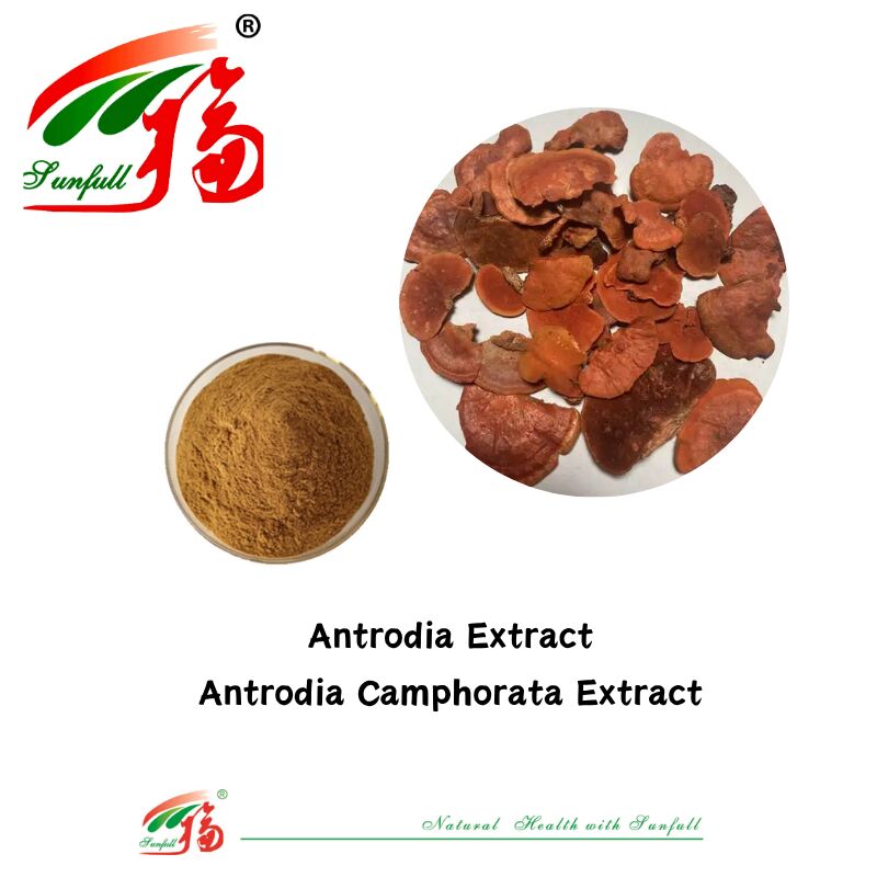 Hunan Sunfull Nahrungsergänzungsmittel Agaricus Subrufescens/Hericium Erinaceus/Antrodia/Cordyceps Sinensis/Coriolus Versicolor/Pulver aus Pilzextrakt