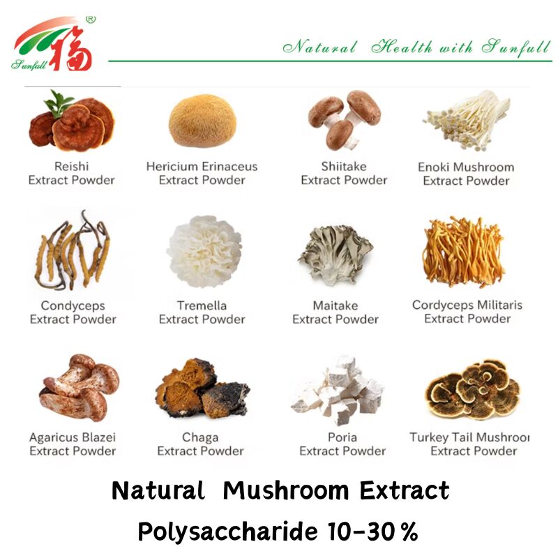 Hunan Sunfull Nahrungsergänzungsmittel Agaricus Subrufescens/Hericium Erinaceus/Antrodia/Cordyceps Sinensis/Coriolus Versicolor/Pulver aus Pilzextrakt