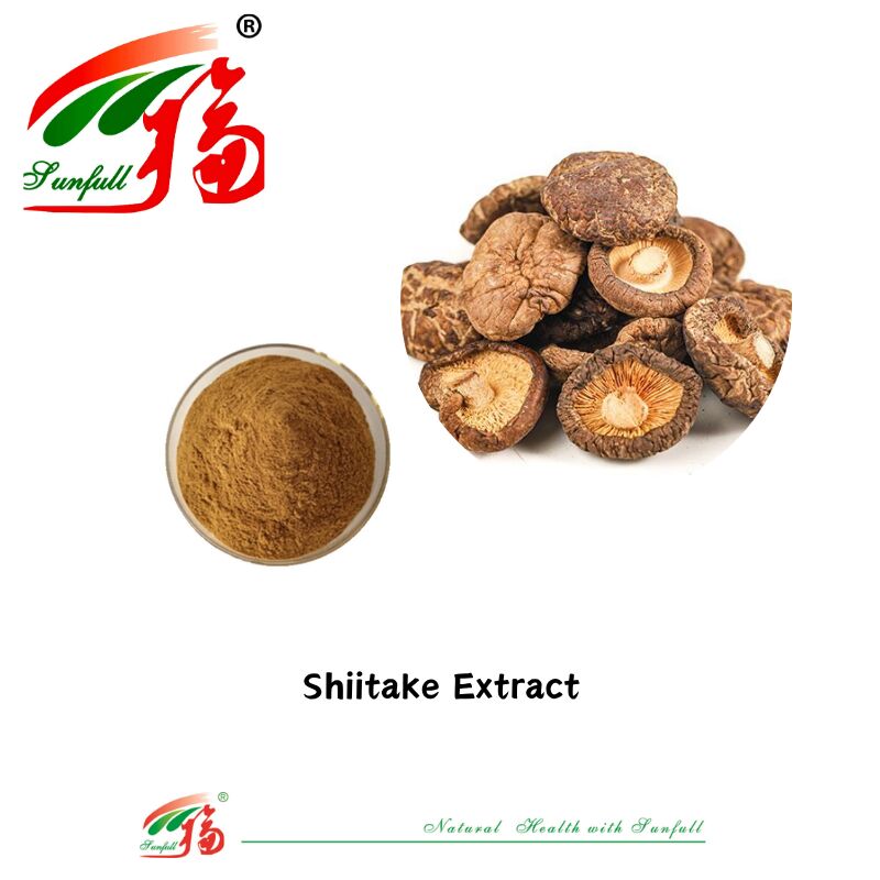 Natürliche organische Zutat Nahrungsergänzungsmittel Polysaccharide 10-30% Phellinus Igniarius/Ganoderma Lucidum/Chaga/Maitake/Shiitake Pilzextrakt Pulver
