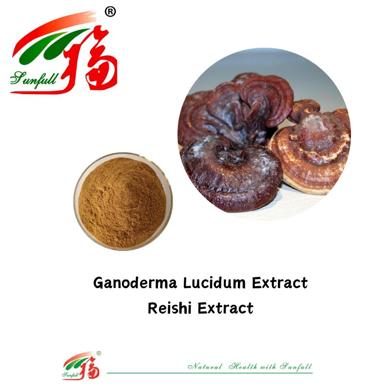 Natürliche organische Zutat Nahrungsergänzungsmittel Polysaccharide 10-30% Phellinus Igniarius/Ganoderma Lucidum/Chaga/Maitake/Shiitake Pilzextrakt Pulver