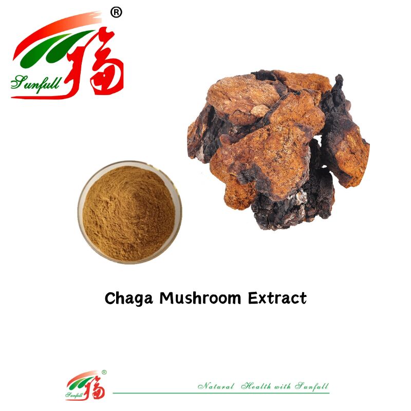 Natürliche organische Zutat Nahrungsergänzungsmittel Polysaccharide 10-30% Phellinus Igniarius/Ganoderma Lucidum/Chaga/Maitake/Shiitake Pilzextrakt Pulver