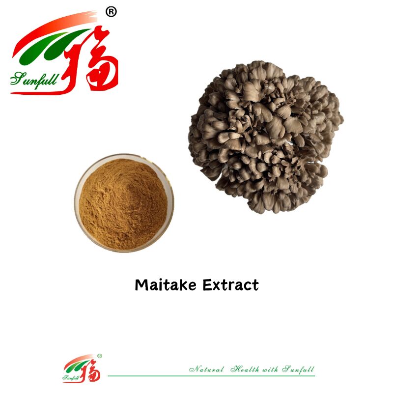 Natürliche organische Zutat Nahrungsergänzungsmittel Polysaccharide 10-30% Phellinus Igniarius/Ganoderma Lucidum/Chaga/Maitake/Shiitake Pilzextrakt Pulver