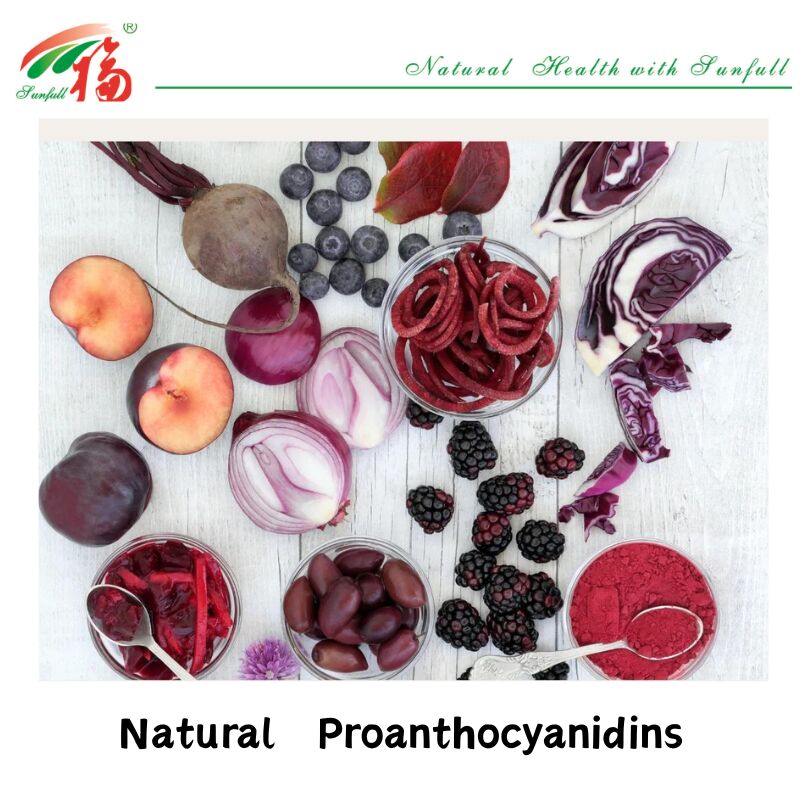 Fabriklieferung Hochwertige 100% natürliche Antioxidantien OPC Proanthocyanidin 95% Erdnusshaut/Kürze von Kiefern/Cranberry/Traubenkern-Extrakt