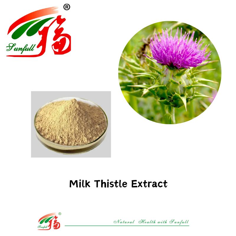 Kräuter Silybum Marianum Pflanze Segensdistel Samenpulver 30% Silybine HPLC UV 40%~80% Liposomen 40%-80% Silymarin Milchdistel Extrakt für die Gesundheit der Leber