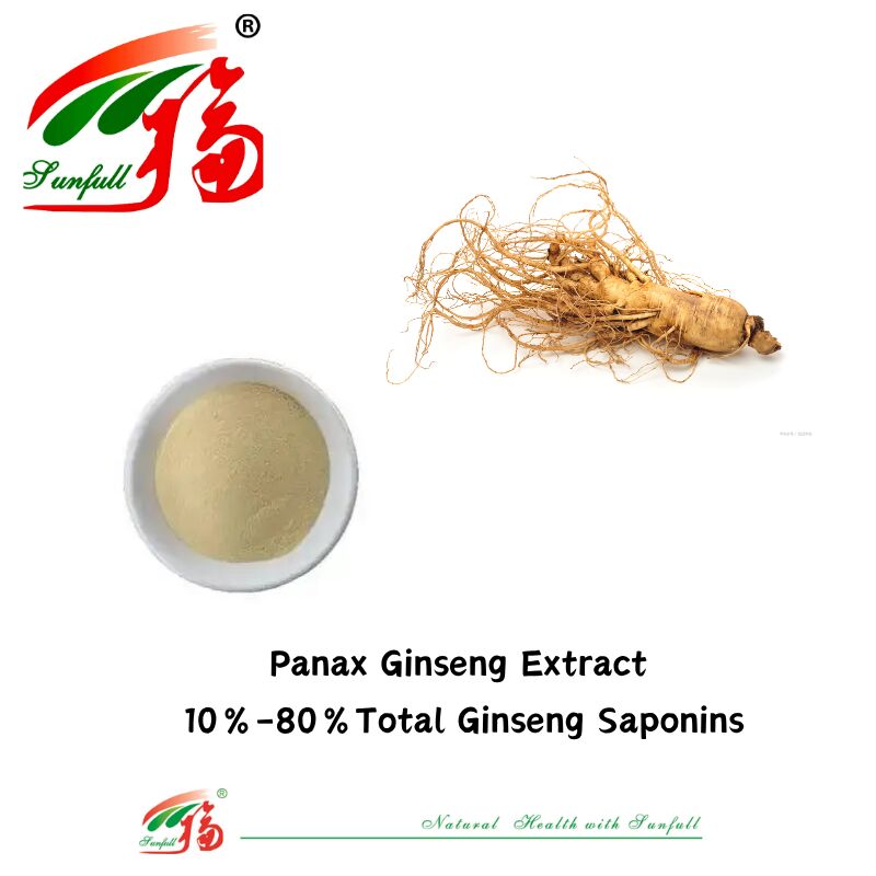 Sunfull Hersteller Kostenlose Probe Traditionelle Chinesische Medizin Organische HPLC 10% 80% Ginsenoside Amerikanischer Ginseng / Koreanischer Ginseng-Extrakt / Panax Ginseng-Extrakt