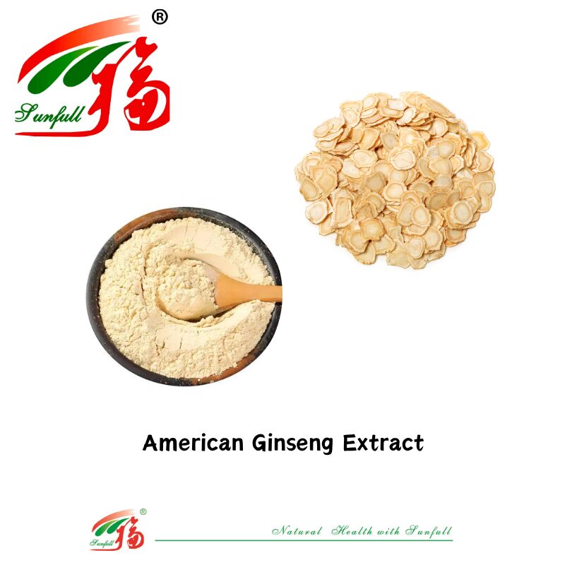 Sunfull Hersteller Kostenlose Probe Traditionelle Chinesische Medizin Organische HPLC 10% 80% Ginsenoside Amerikanischer Ginseng / Koreanischer Ginseng-Extrakt / Panax Ginseng-Extrakt