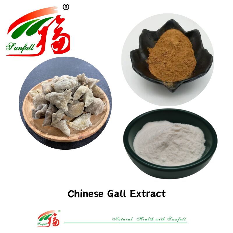 ISO 22000/Koscher/Halal Chinesische traditionelle medizinische Direktversorgung Natürliche 40%-90% Ellaginsäure 99% Gallensäure Pulver Chinesisches Gallenextrakt