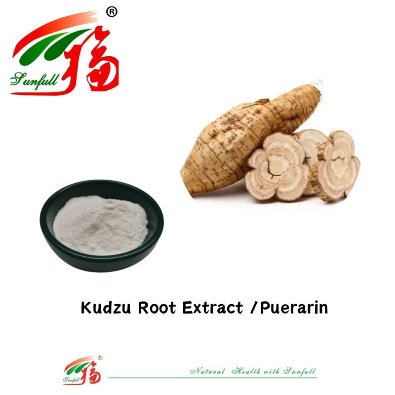 Kostenlose Probe Hochwertiger Kudzu-Wurzel-Extrakt Pueraria Lobata-Extrakt Puerarin 10%-98% CAS 3681-99-0