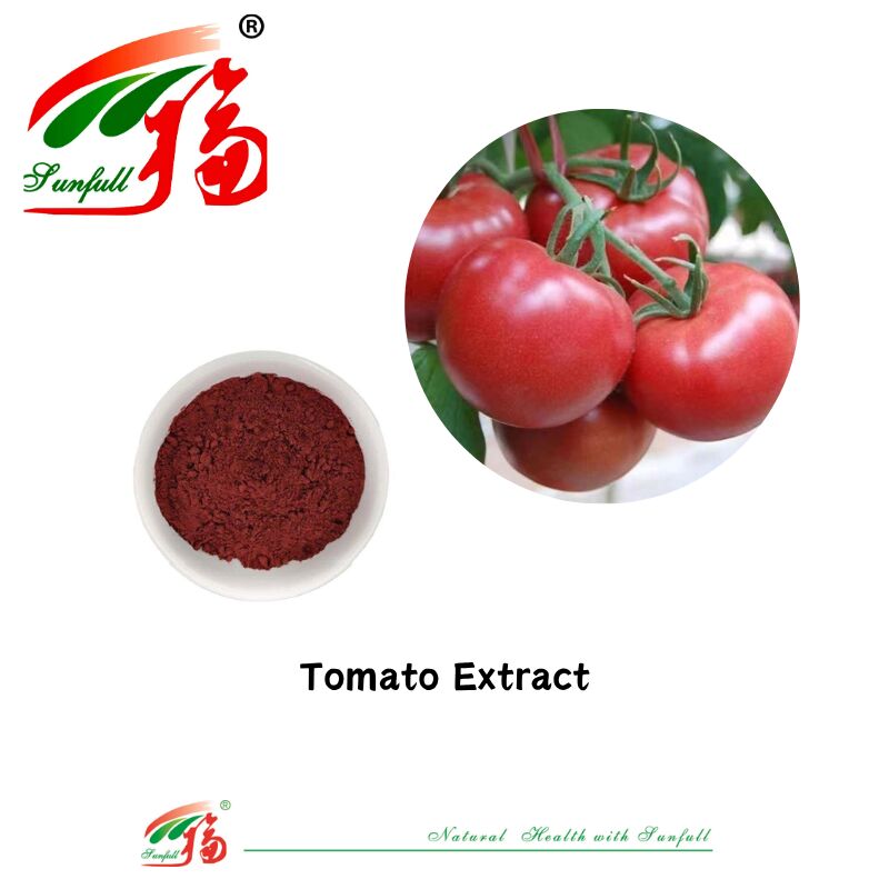Biolebensmittel, Lebensmittelqualität CAS 502-65-8, Großhandelspreis, natürliche Pigmente, Tomatenextrakt, 1 % - 10 % Lycopin-Pulver