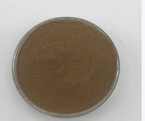 ISO/Koscher fördert die Verdauung Lebensmittelqualität Cassia-Samen-Extrakt 10: 1 / 20% HPLC Sennosides Senna-Blatt-Extrakt