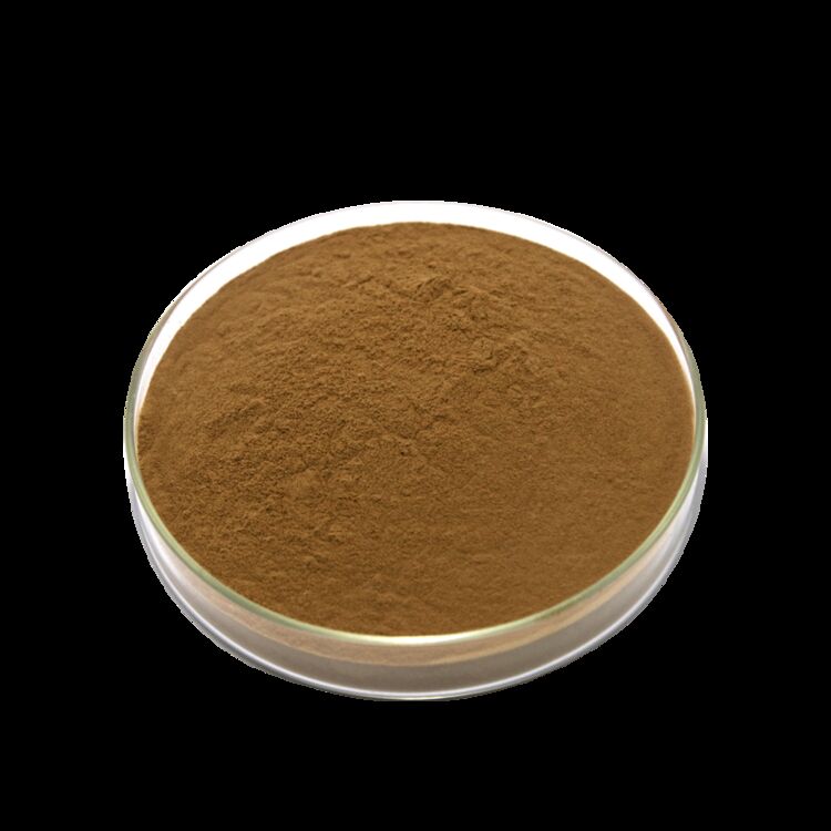 ISO/Koscher fördert die Verdauung Lebensmittelqualität Cassia-Samen-Extrakt 10: 1 / 20% HPLC Sennosides Senna-Blatt-Extrakt