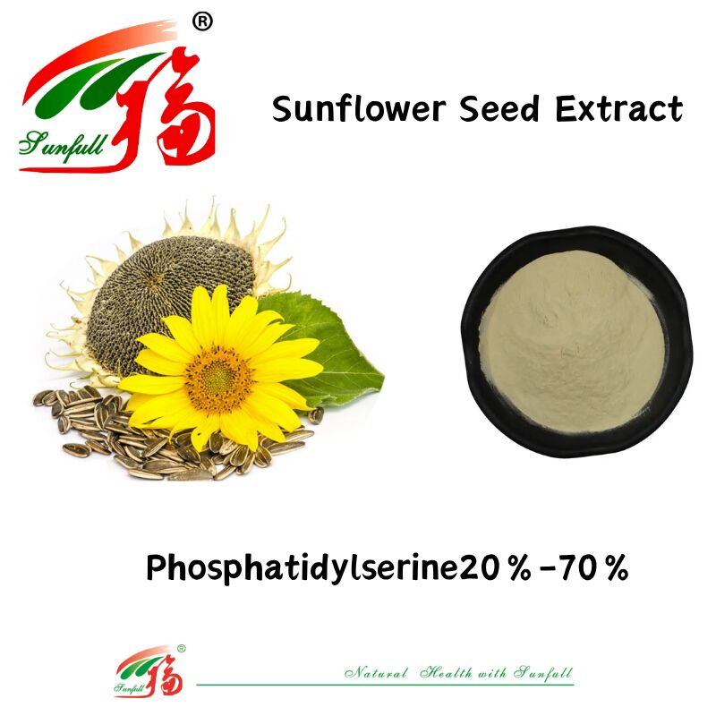 Fabrikversorgung Großhandel Nahrungsergänzungsmittel Gewichtsverlust Sonnenblumenkernextrakt 20 % - 70 % Phosphatidylserin