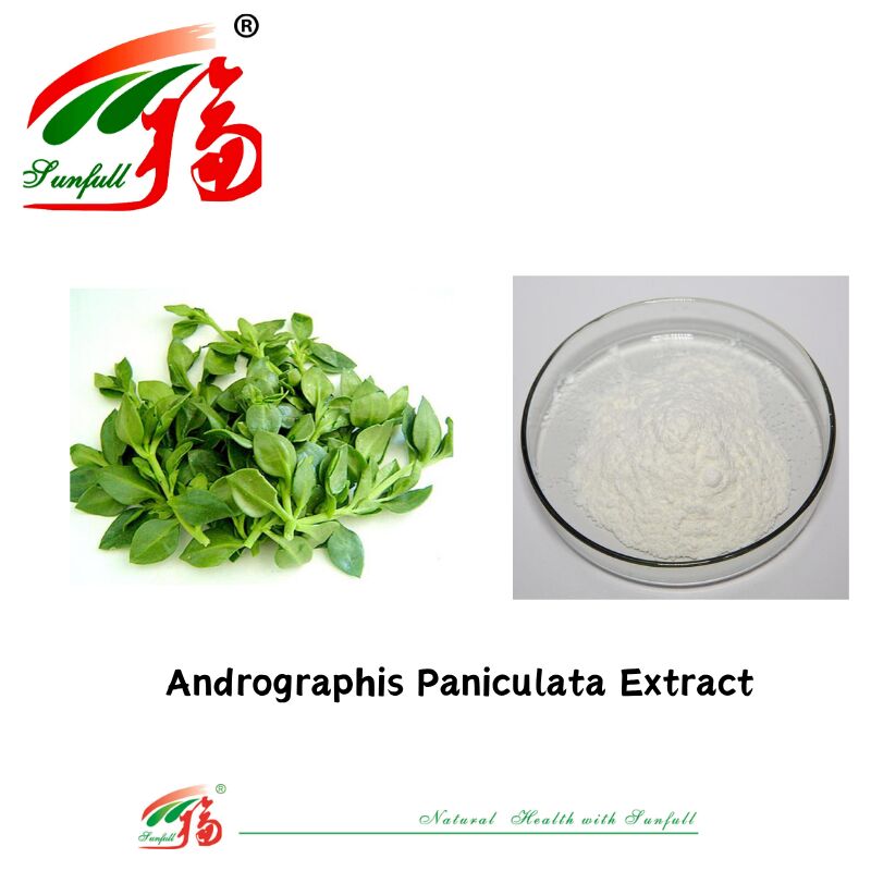 Bestpreis Natürlicher Futtermittelzusatzstoff Bestpreis Natürlicher Futtermittelzusatzstoff 95% Andrographis Paniculata Extrakt CAS Nr. 5508-58-7