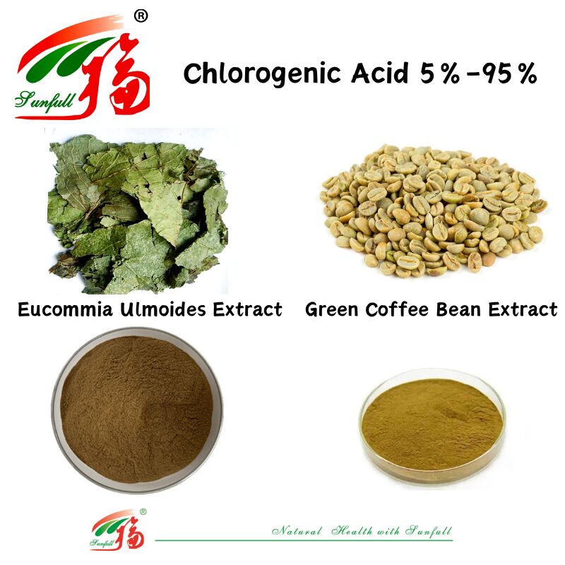 Futtermittel/Nahrungsmittel Nahrungsergänzungsmittel Eucommia Ulmoides Extrakt/Grüne Kaffeebohnen Extrakt Chlorogensäure 5%-98%