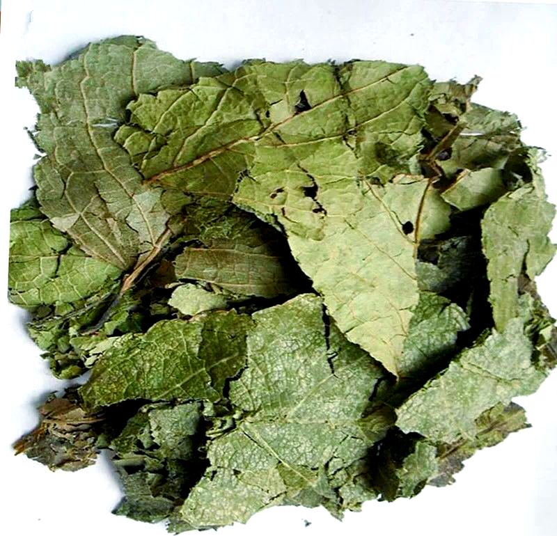 Futtermittel/Nahrungsmittel Nahrungsergänzungsmittel Eucommia Ulmoides Extrakt/Grüne Kaffeebohnen Extrakt Chlorogensäure 5%-98%